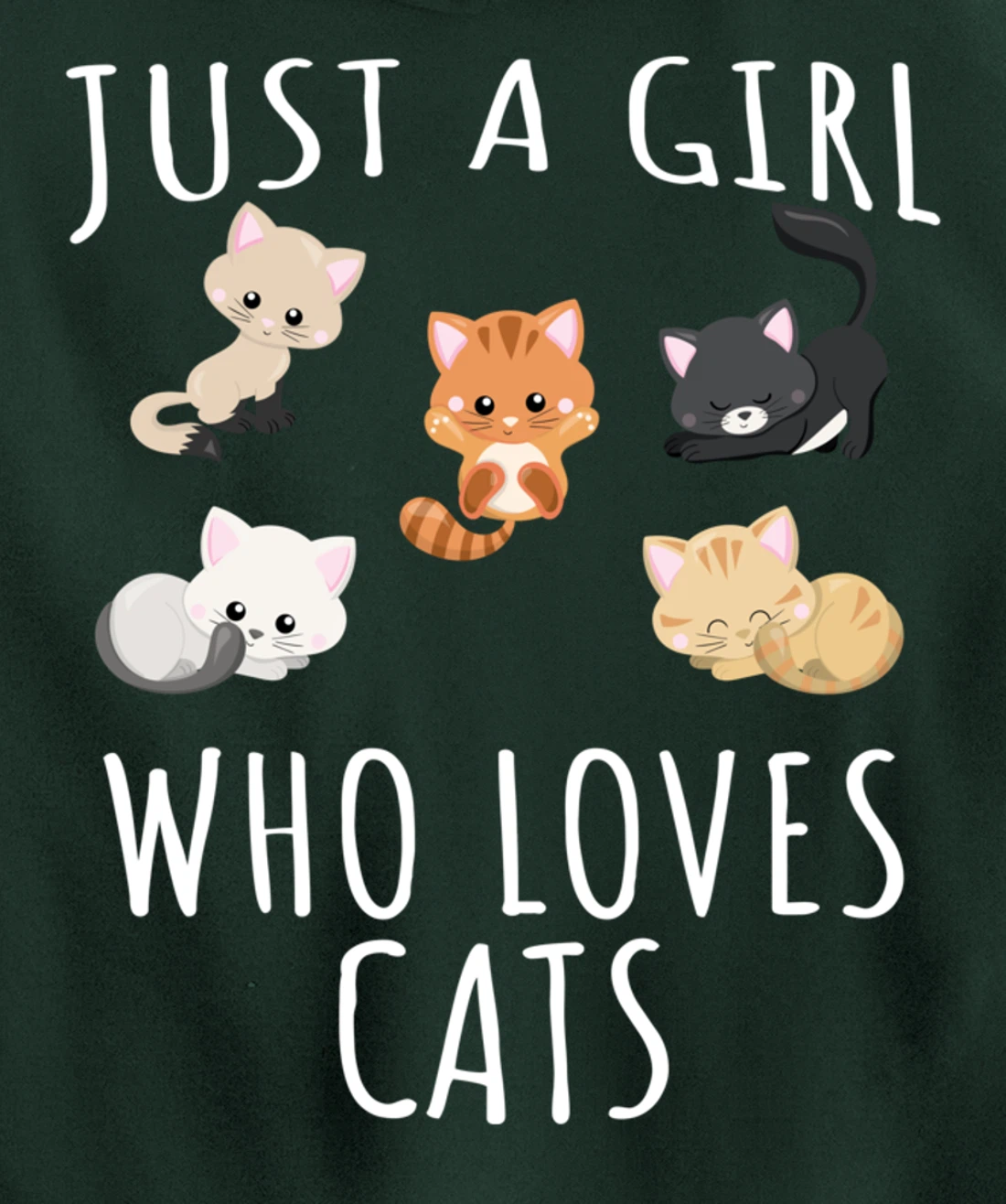 Just a girl who loves Cats - Funny Kitten Pullover Hoodie