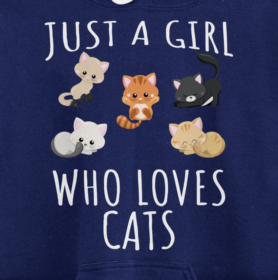 Just a girl who loves Cats - Funny Kitten Pullover Hoodie