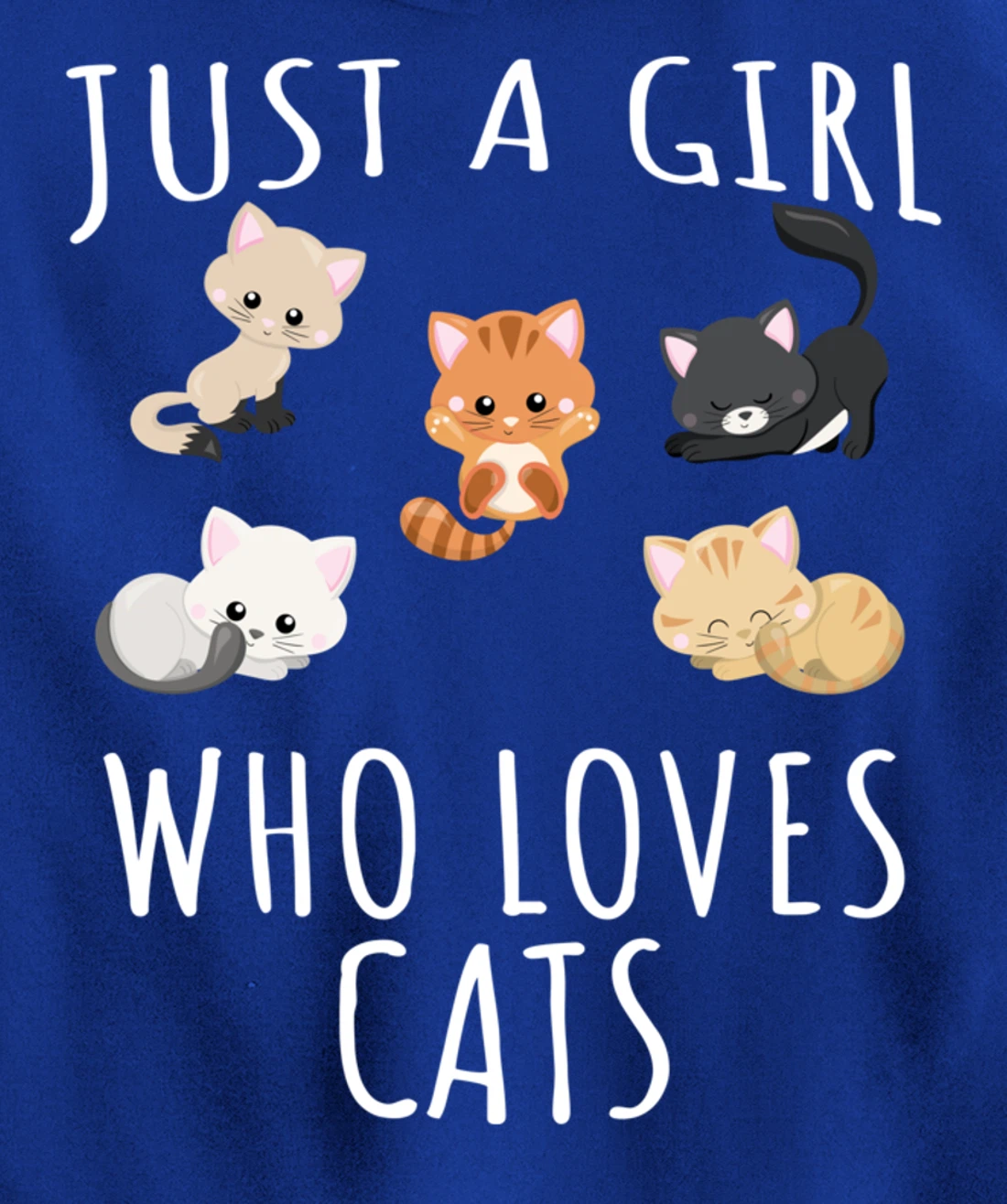Just a girl who loves Cats - Funny Kitten Pullover Hoodie
