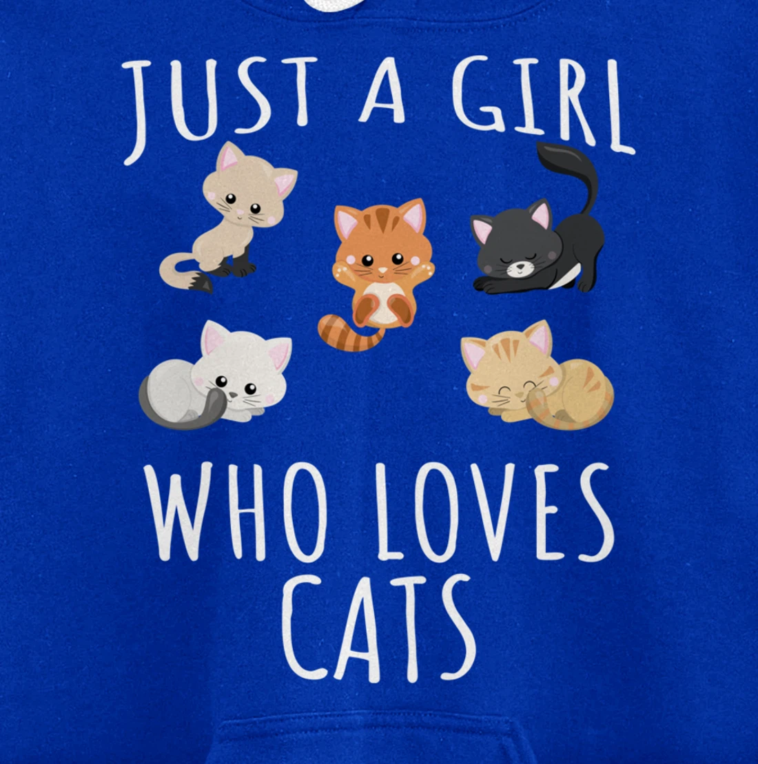 Just a girl who loves Cats - Funny Kitten Pullover Hoodie