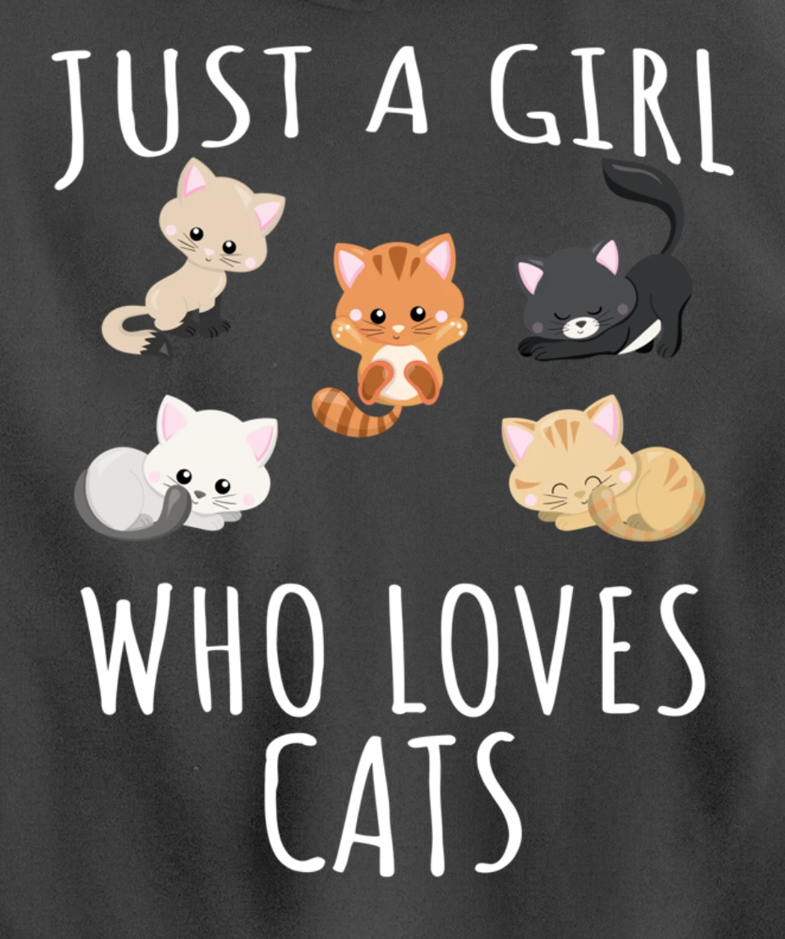 Just a girl who loves Cats - Funny Kitten Pullover Hoodie