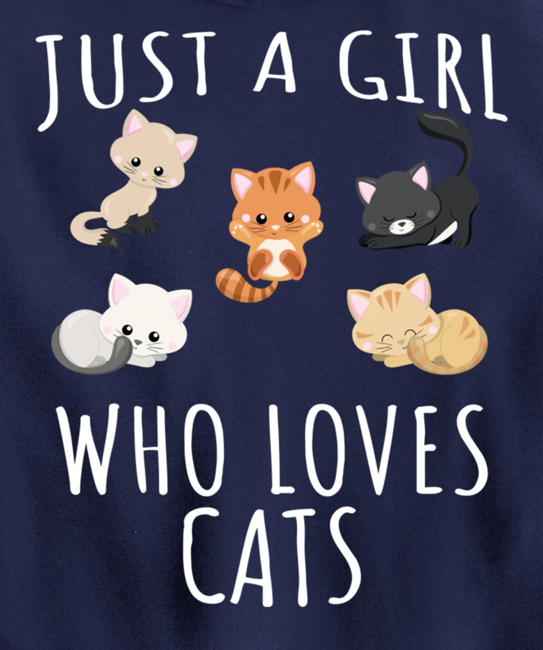 Just a girl who loves Cats - Funny Kitten Pullover Hoodie