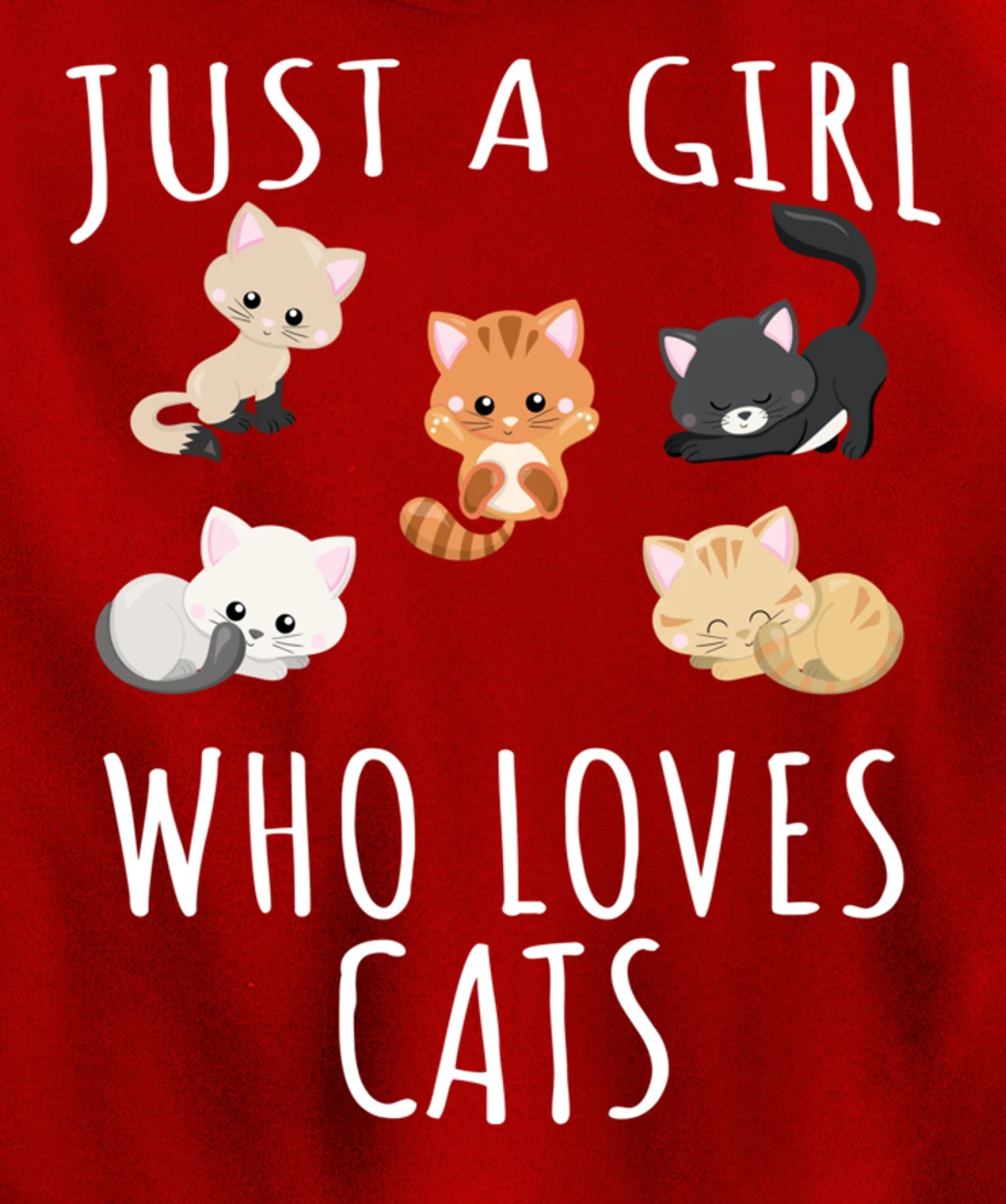 Just a girl who loves Cats - Funny Kitten Pullover Hoodie
