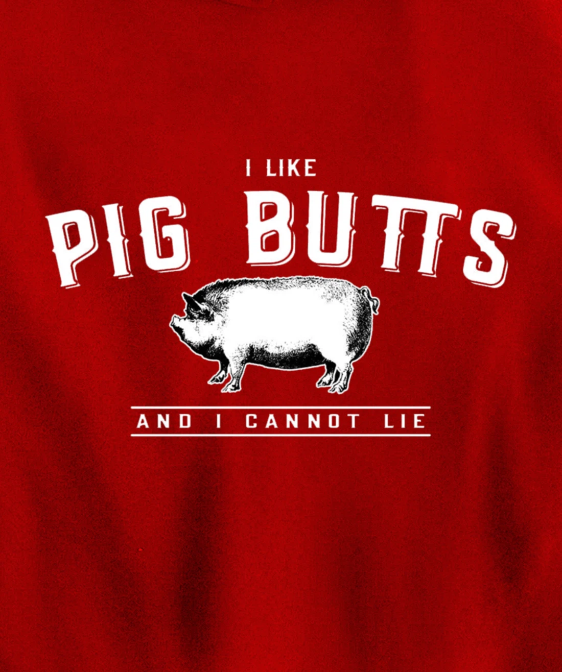 I Like Pig Butts And I Cannot Lie- Funny Pig Lover BBQ Gift Pullover Hoodie