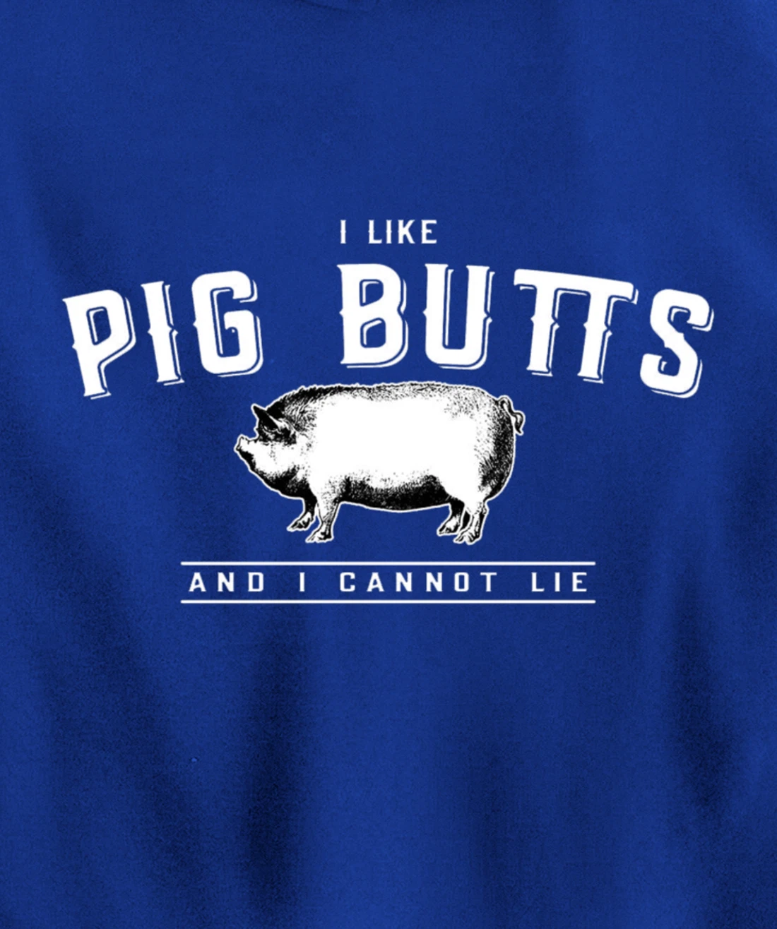 I Like Pig Butts And I Cannot Lie- Funny Pig Lover BBQ Gift Pullover Hoodie