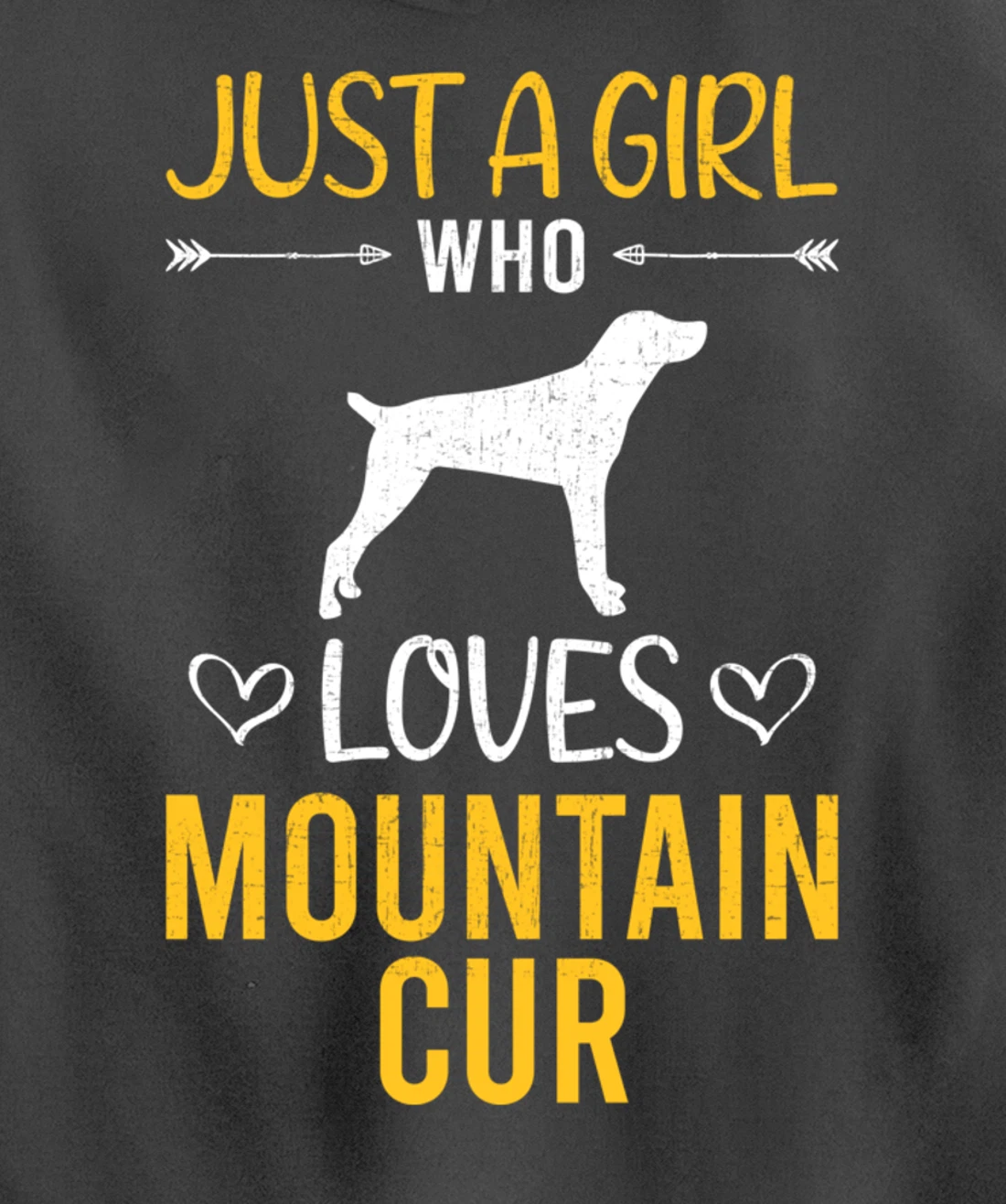 Just A Girl Who Loves Mountain Cur Dog Lover Pullover Hoodie