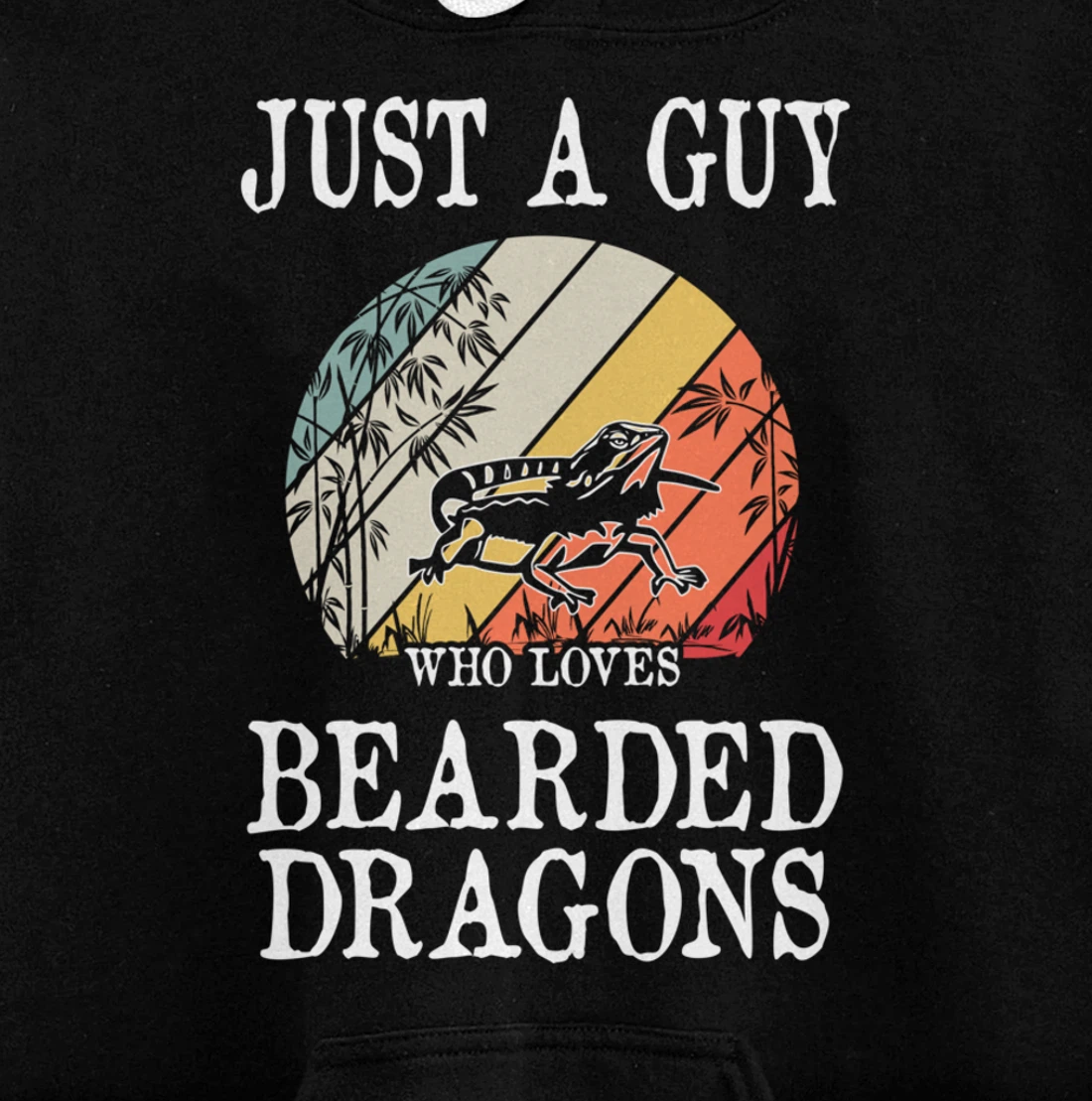 Just A Guy Who Loves Bearded Dragons Pullover Hoodie