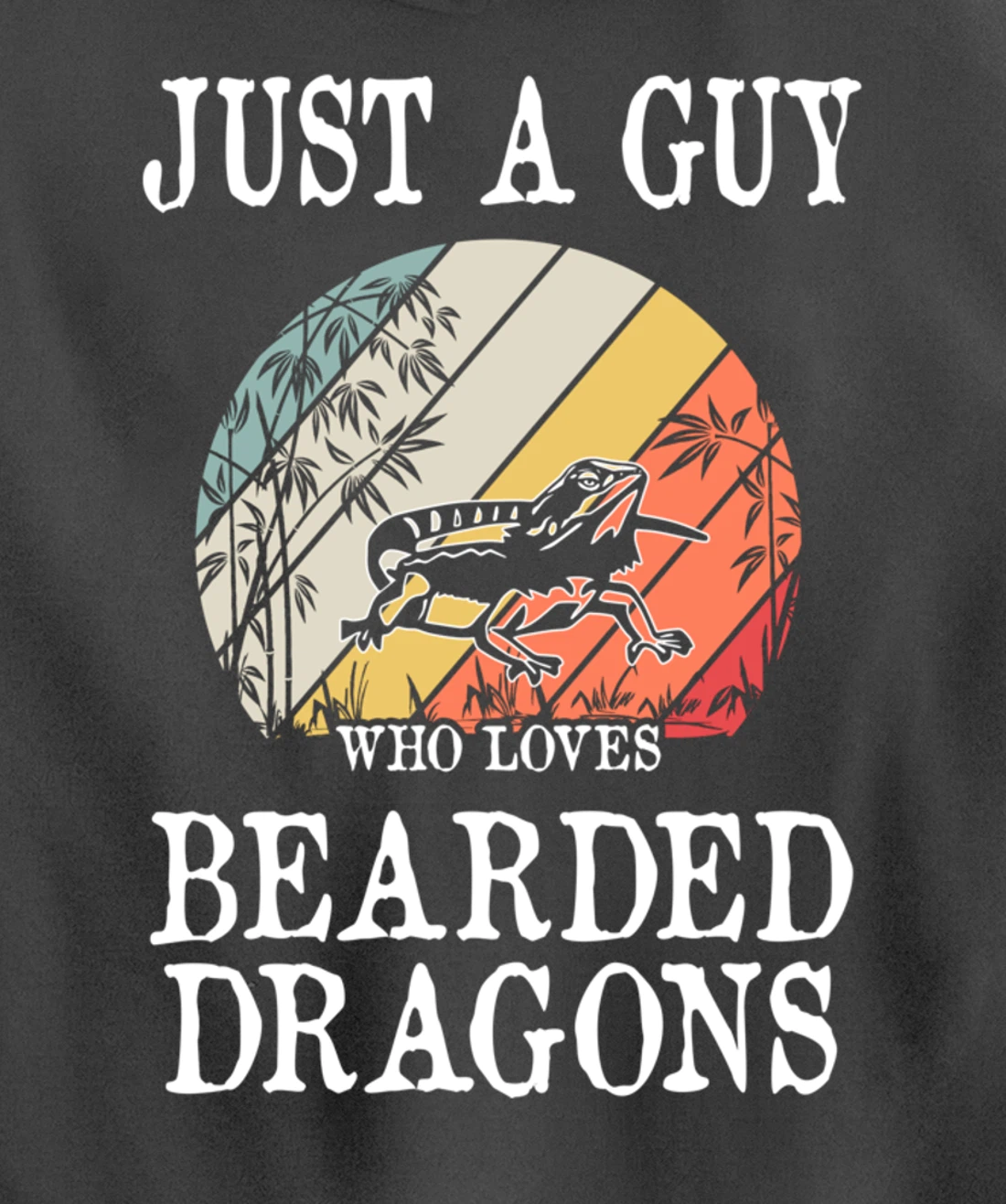 Just A Guy Who Loves Bearded Dragons Pullover Hoodie