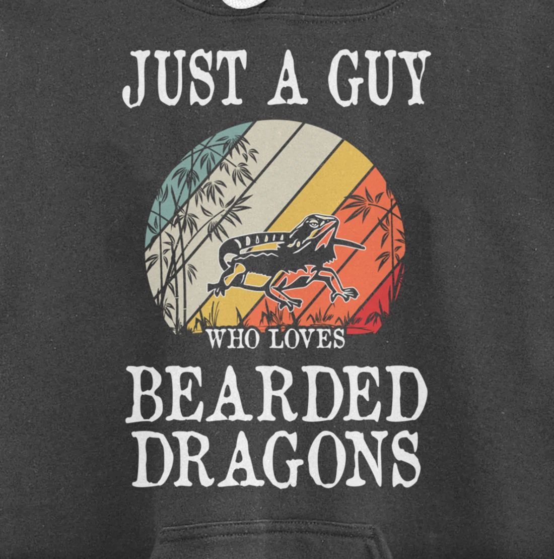Just A Guy Who Loves Bearded Dragons Pullover Hoodie