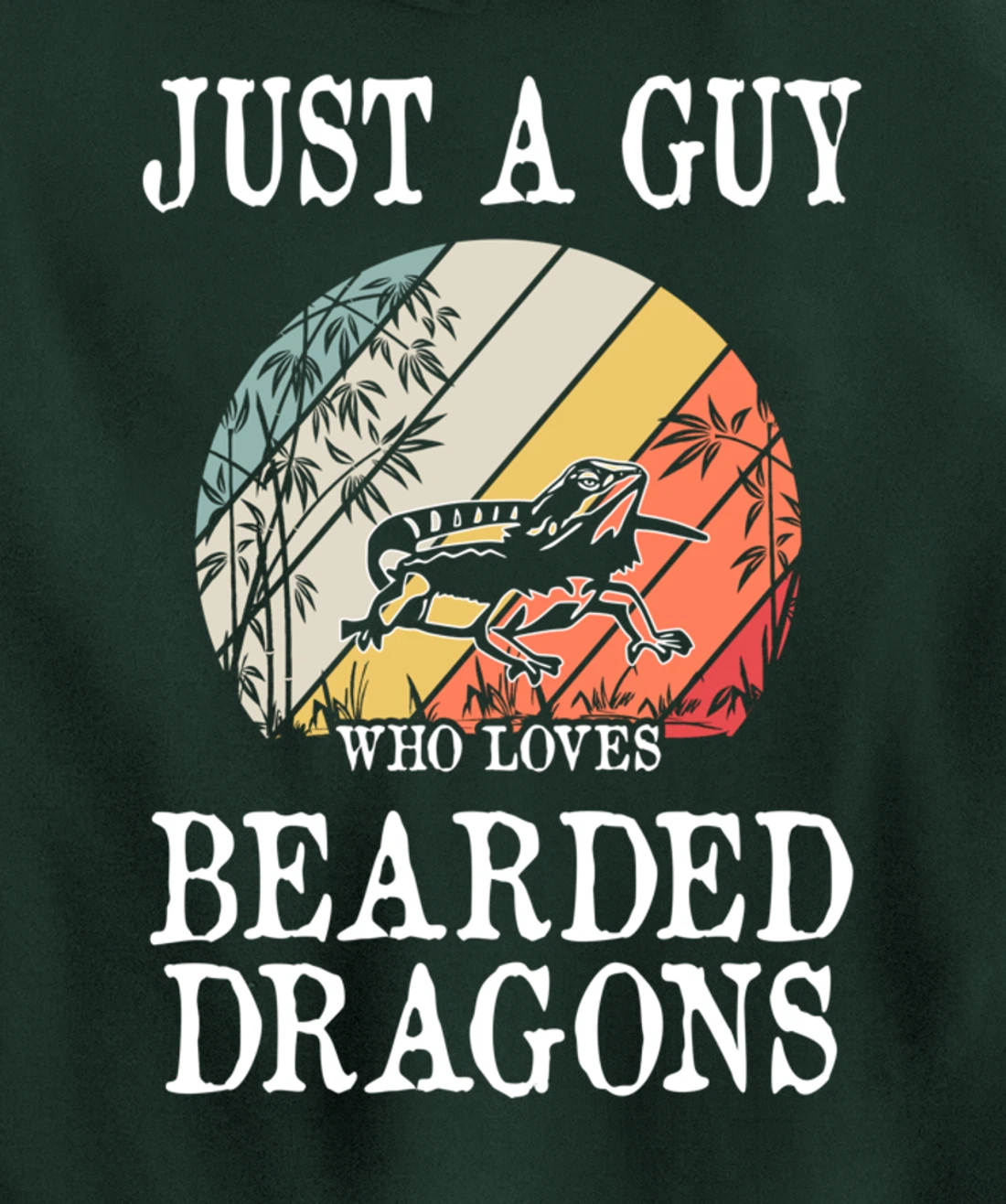 Just A Guy Who Loves Bearded Dragons Pullover Hoodie