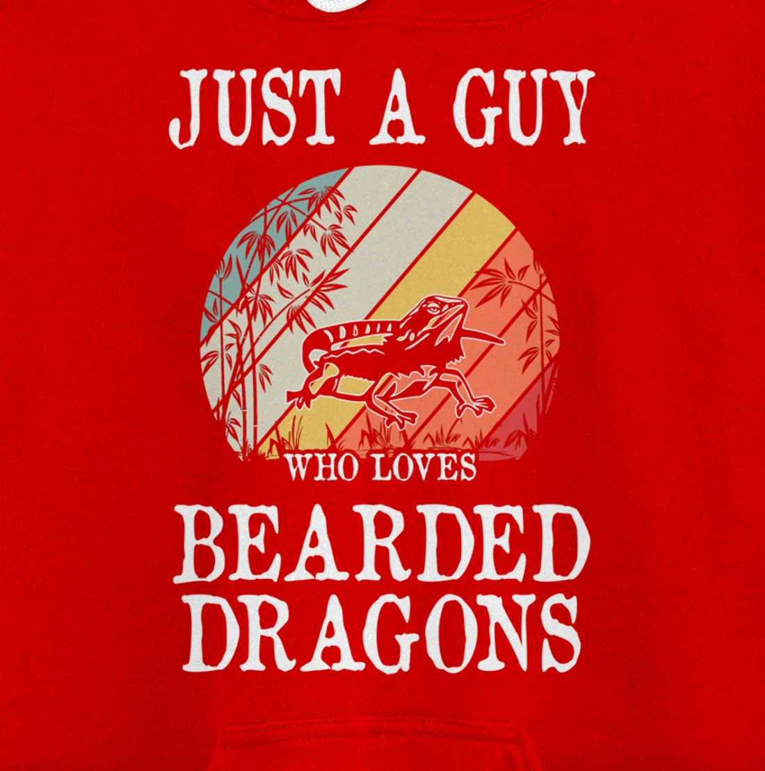 Just A Guy Who Loves Bearded Dragons Pullover Hoodie
