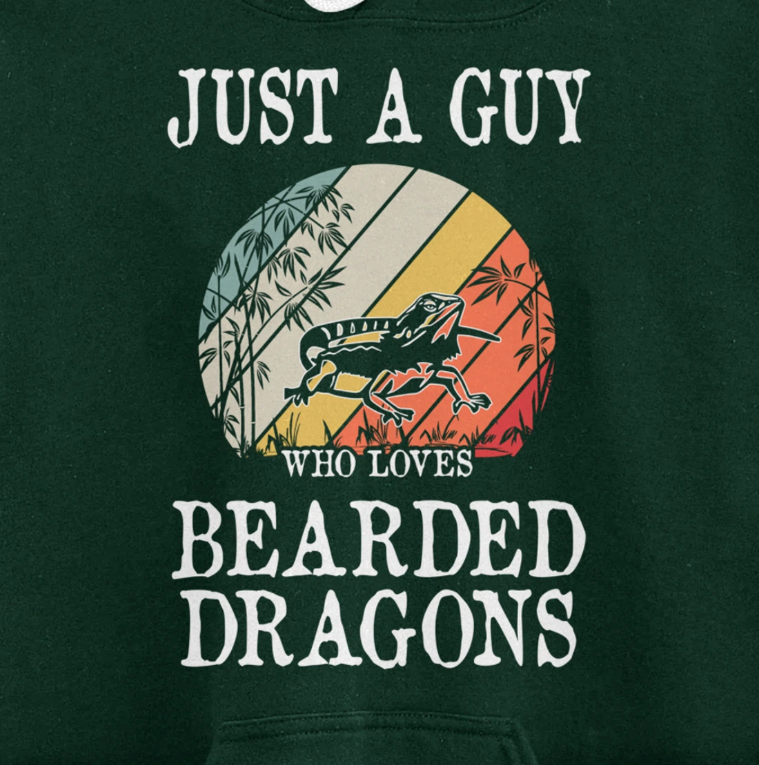 Just A Guy Who Loves Bearded Dragons Pullover Hoodie