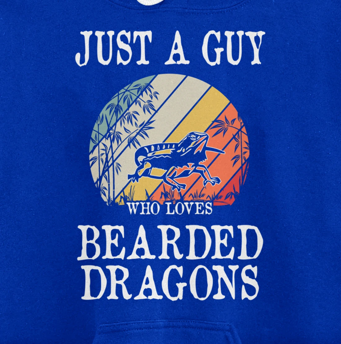Just A Guy Who Loves Bearded Dragons Pullover Hoodie