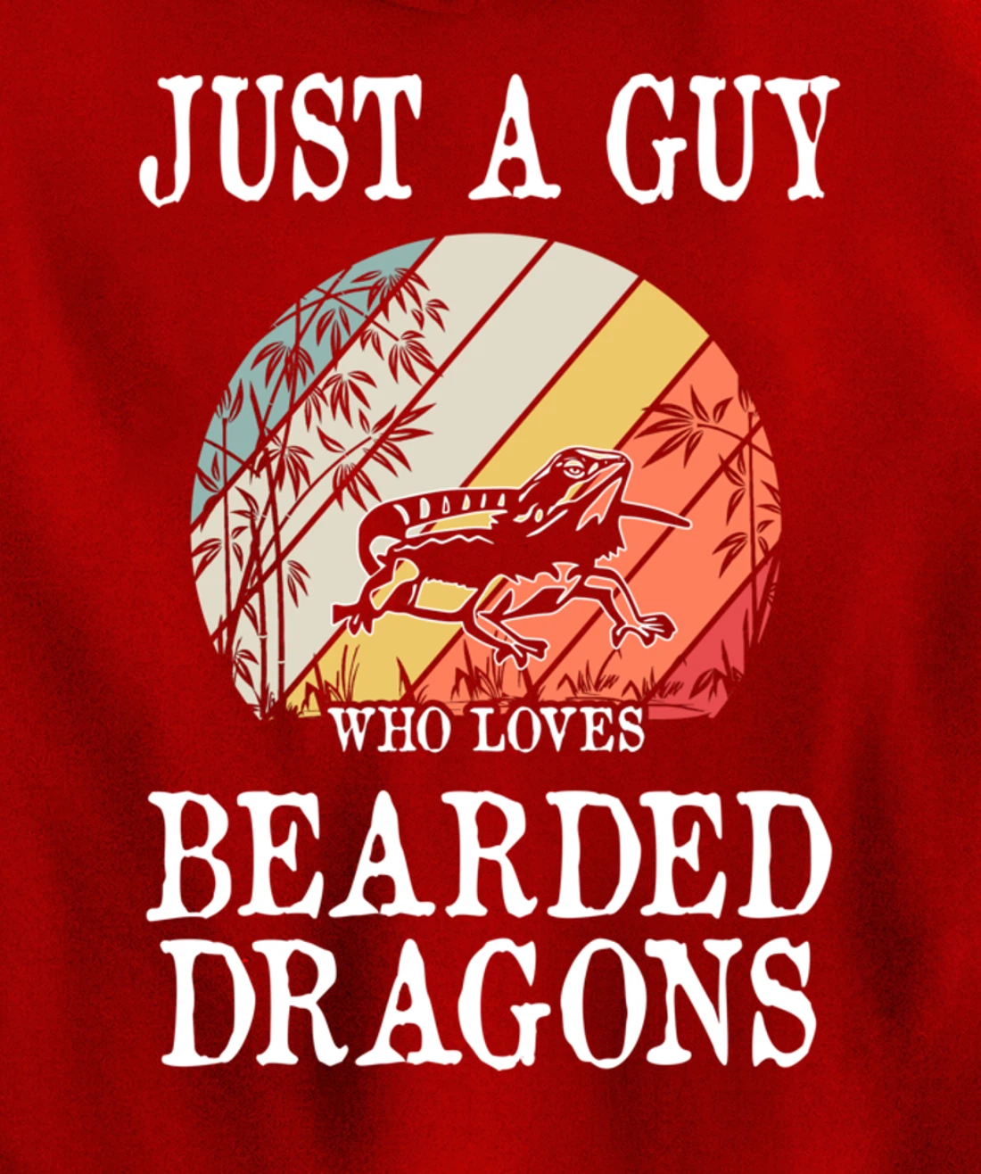 Just A Guy Who Loves Bearded Dragons Pullover Hoodie