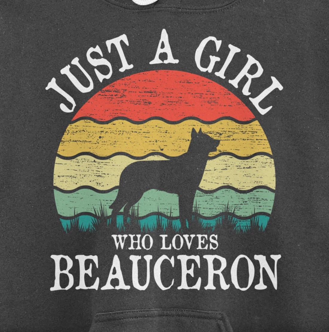 Just A Girl Who Loves Beauceron Dog Lover Pullover Hoodie