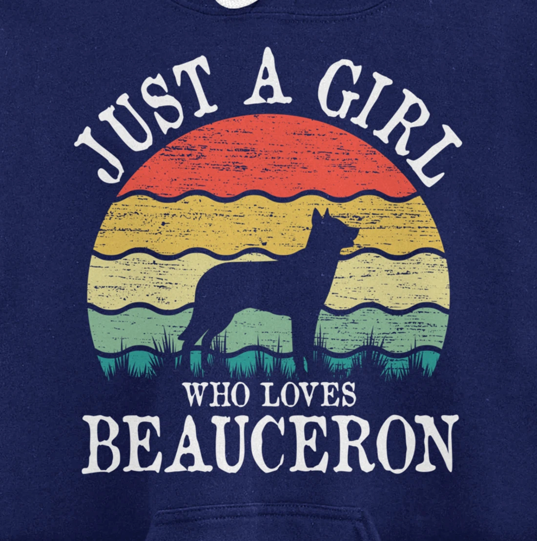 Just A Girl Who Loves Beauceron Dog Lover Pullover Hoodie