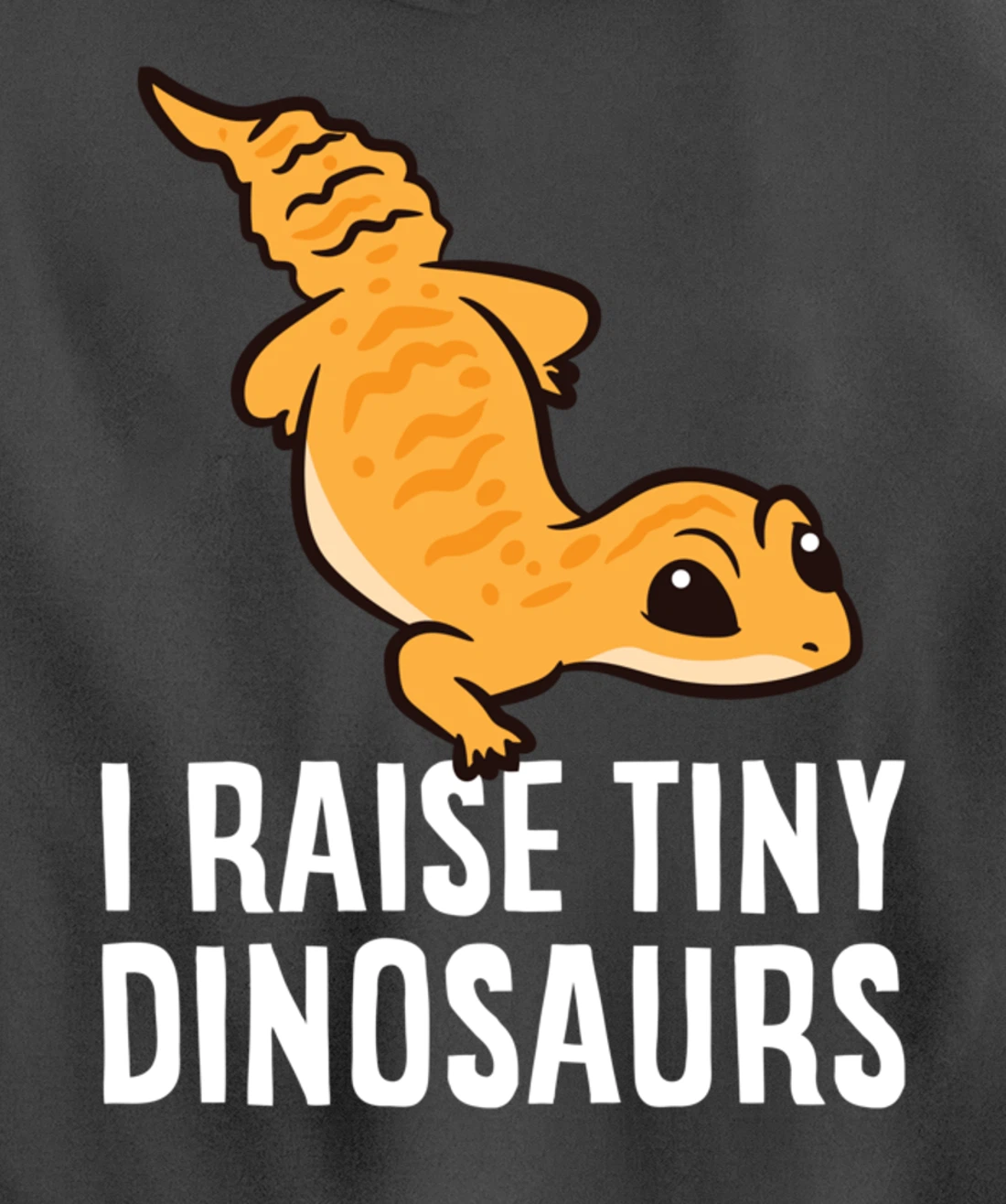 Geckos Leopard Lizard I Raise Tiny Dinosaurs Cute Gecko Pullover Hoodie