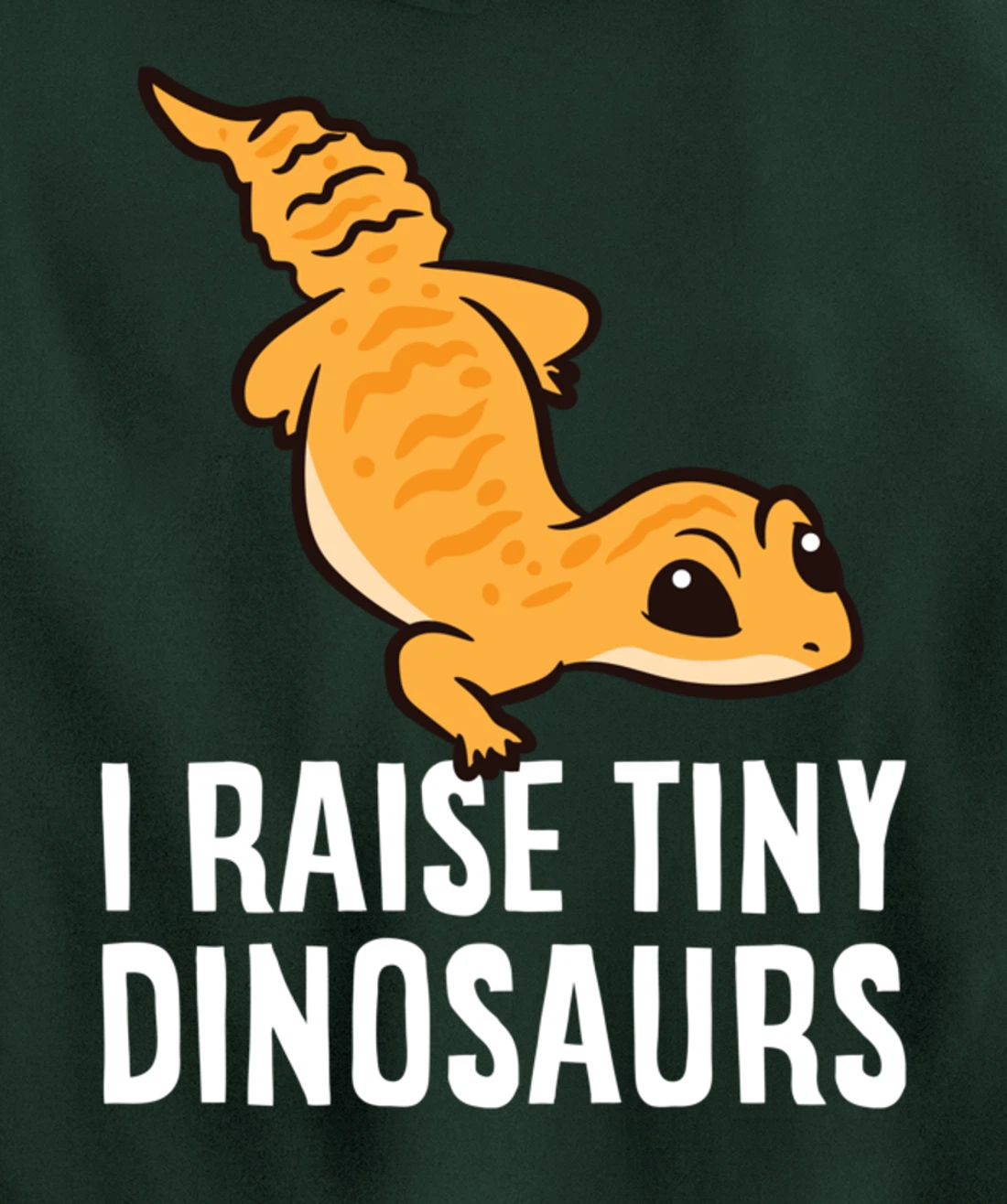 Geckos Leopard Lizard I Raise Tiny Dinosaurs Cute Gecko Pullover Hoodie