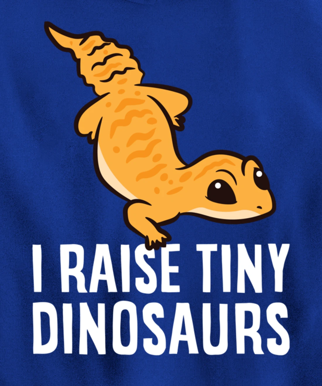 Geckos Leopard Lizard I Raise Tiny Dinosaurs Cute Gecko Pullover Hoodie