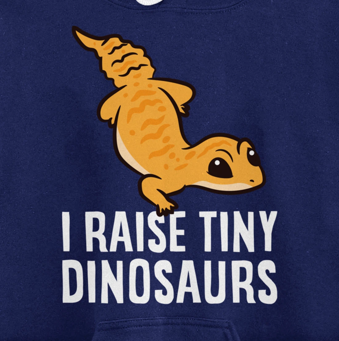 Geckos Leopard Lizard I Raise Tiny Dinosaurs Cute Gecko Pullover Hoodie