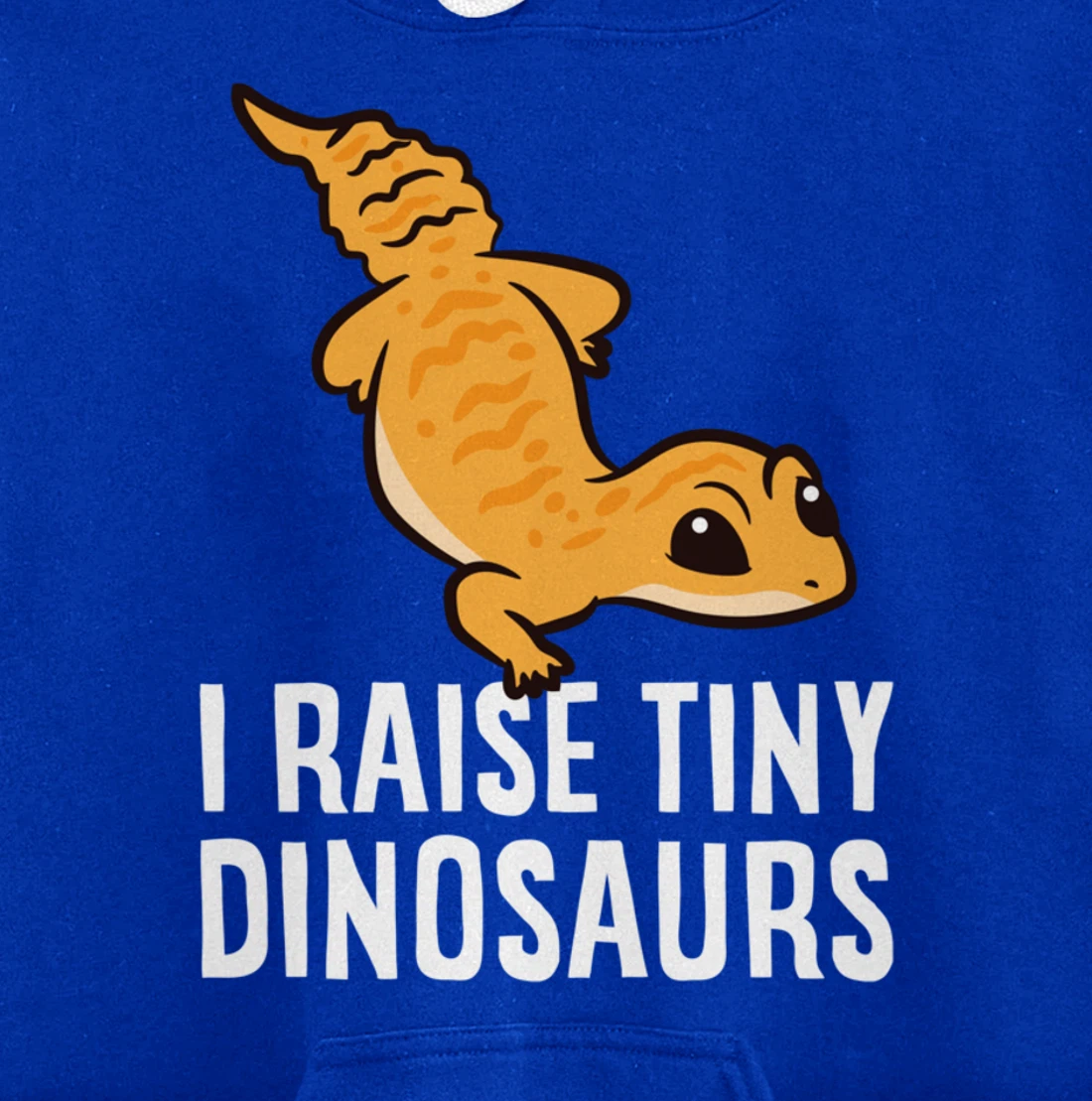 Geckos Leopard Lizard I Raise Tiny Dinosaurs Cute Gecko Pullover Hoodie