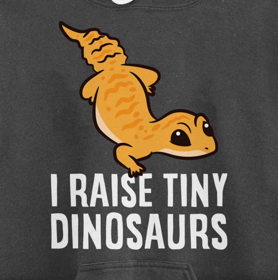Geckos Leopard Lizard I Raise Tiny Dinosaurs Cute Gecko Pullover Hoodie