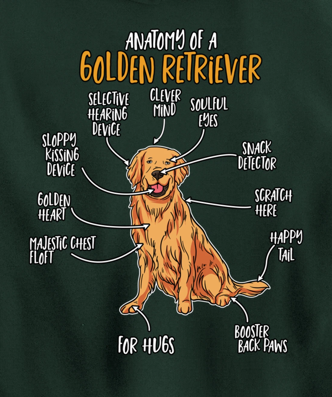 Golden Retriever Gift Stuff Anatomy Of A Golden Retriever Pullover Hoodie