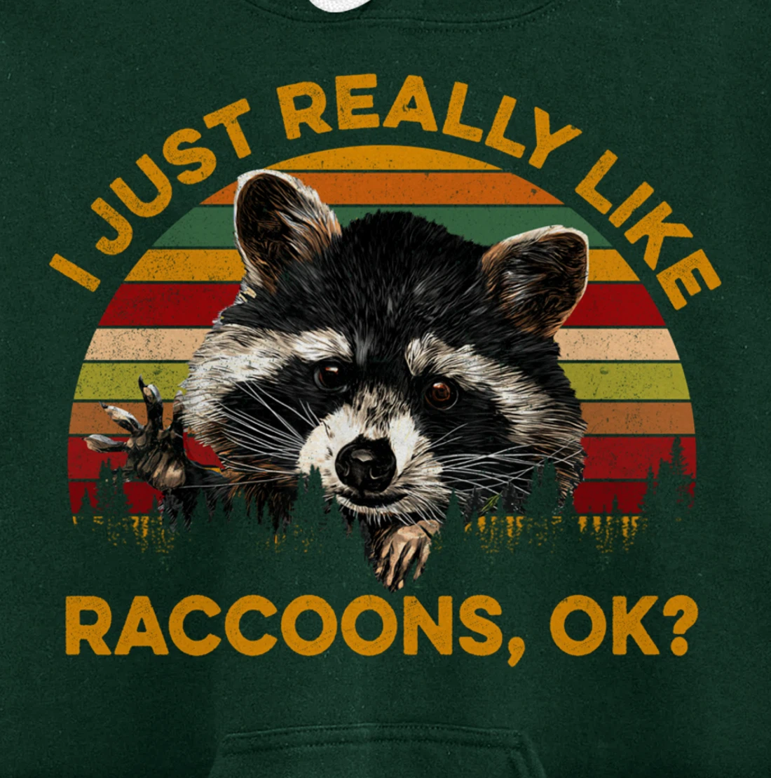 I Just Really Like Raccoons, OK? Lover Gift Raccoon Love Pullover Hoodie