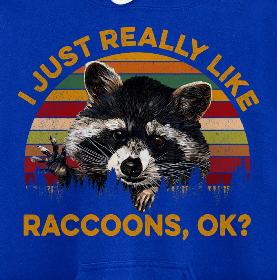 I Just Really Like Raccoons, OK? Lover Gift Raccoon Love Pullover Hoodie