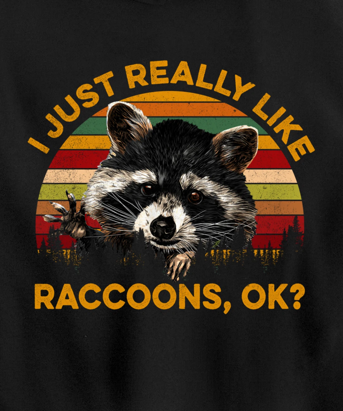 I Just Really Like Raccoons, OK? Lover Gift Raccoon Love Pullover Hoodie