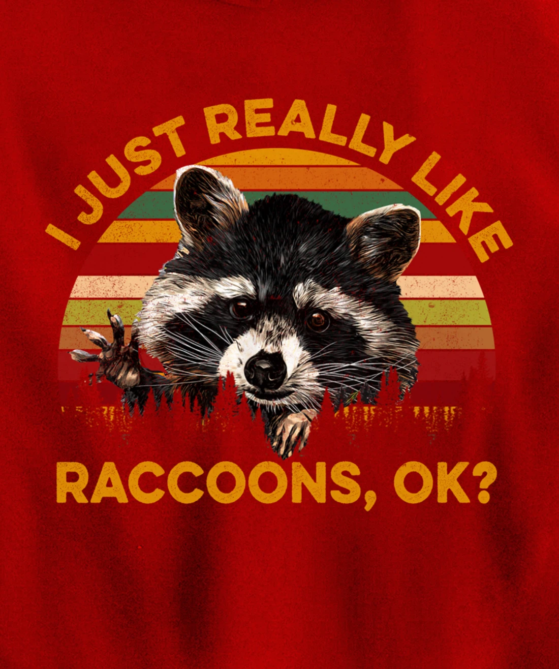 I Just Really Like Raccoons, OK? Lover Gift Raccoon Love Pullover Hoodie