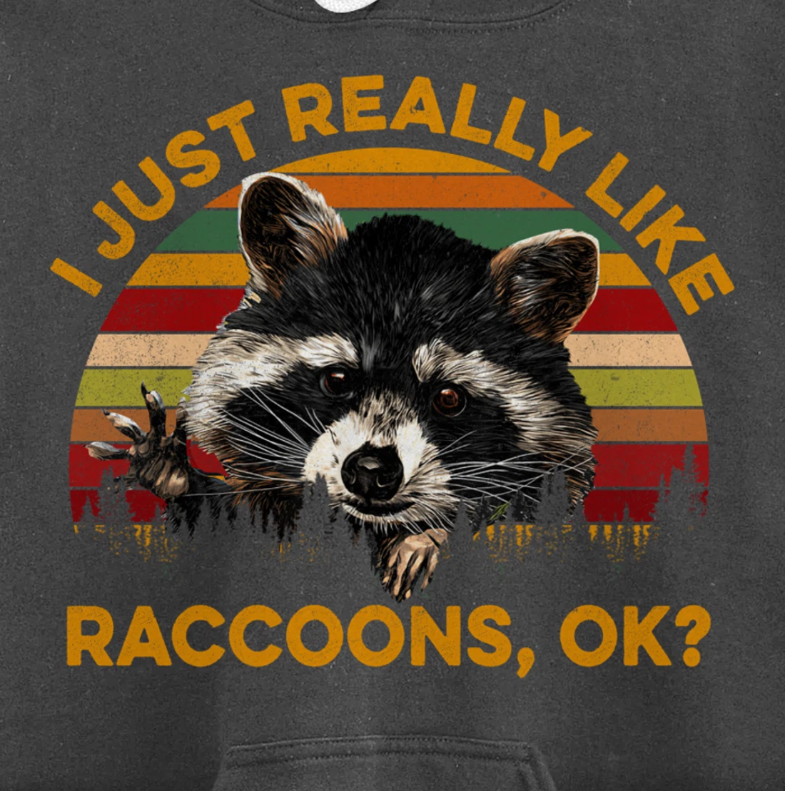 I Just Really Like Raccoons, OK? Lover Gift Raccoon Love Pullover Hoodie