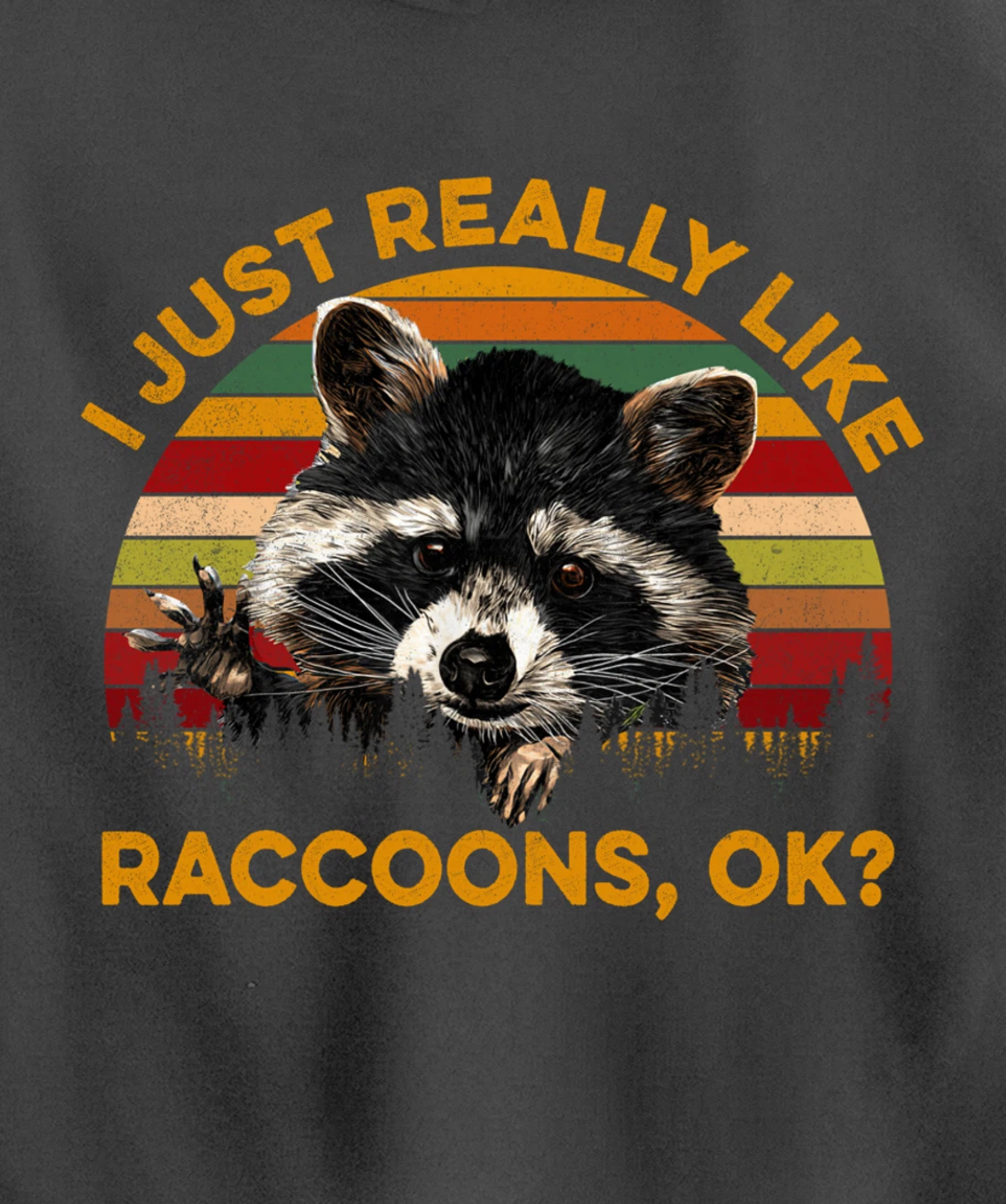 I Just Really Like Raccoons, OK? Lover Gift Raccoon Love Pullover Hoodie