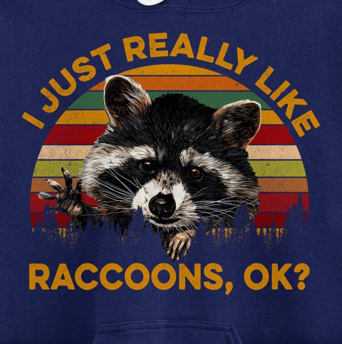I Just Really Like Raccoons, OK? Lover Gift Raccoon Love Pullover Hoodie