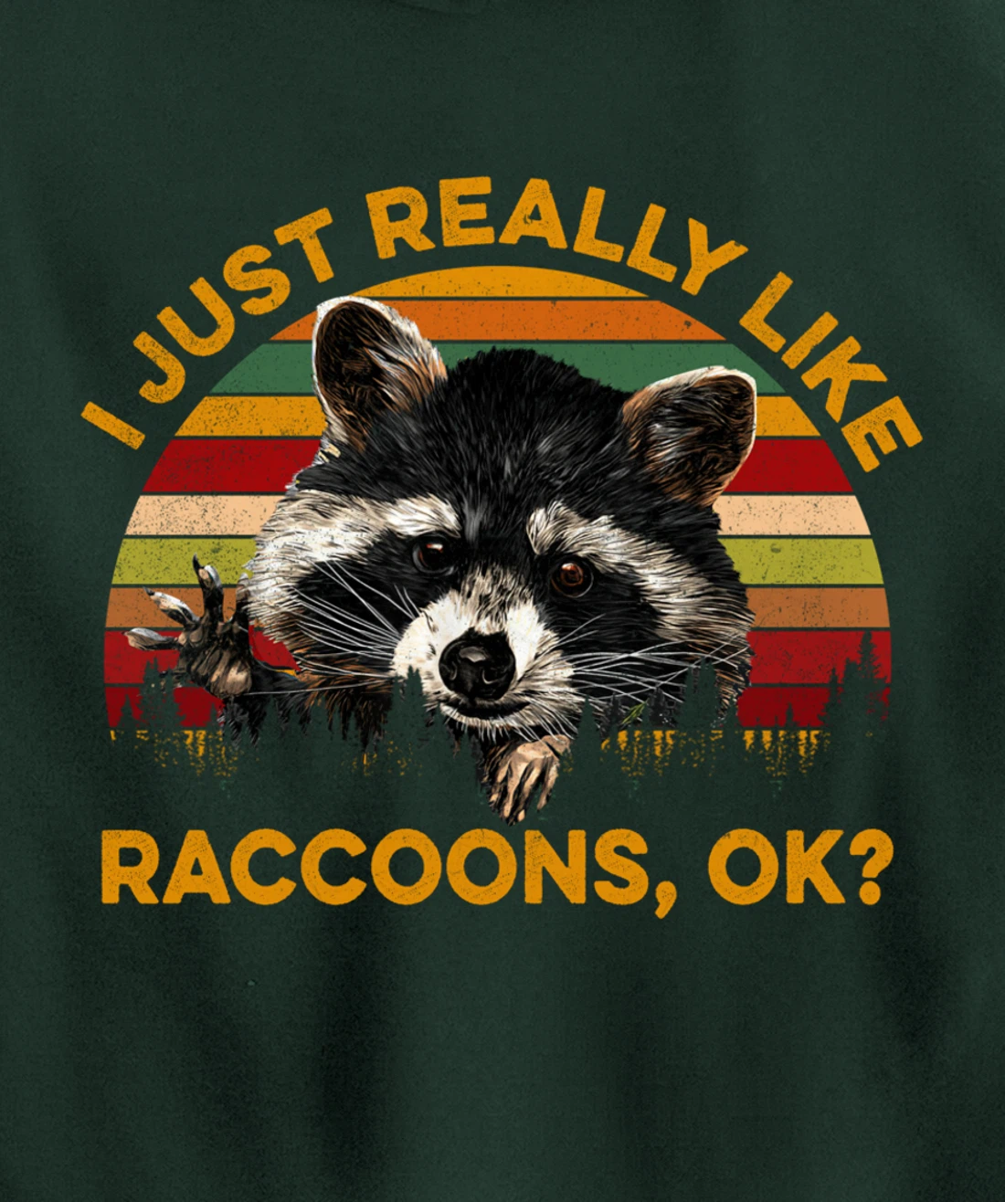 I Just Really Like Raccoons, OK? Lover Gift Raccoon Love Pullover Hoodie