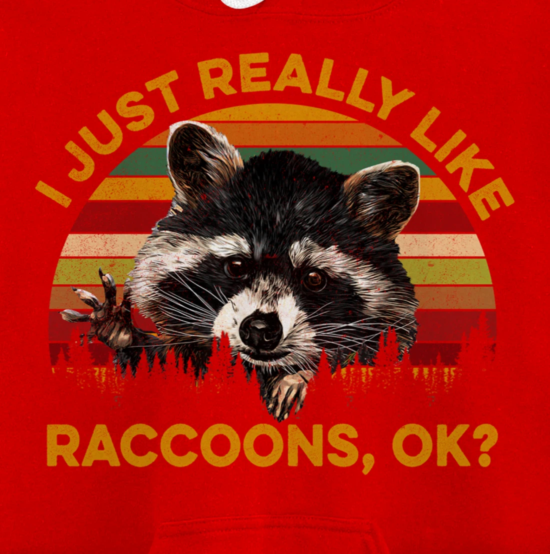I Just Really Like Raccoons, OK? Lover Gift Raccoon Love Pullover Hoodie