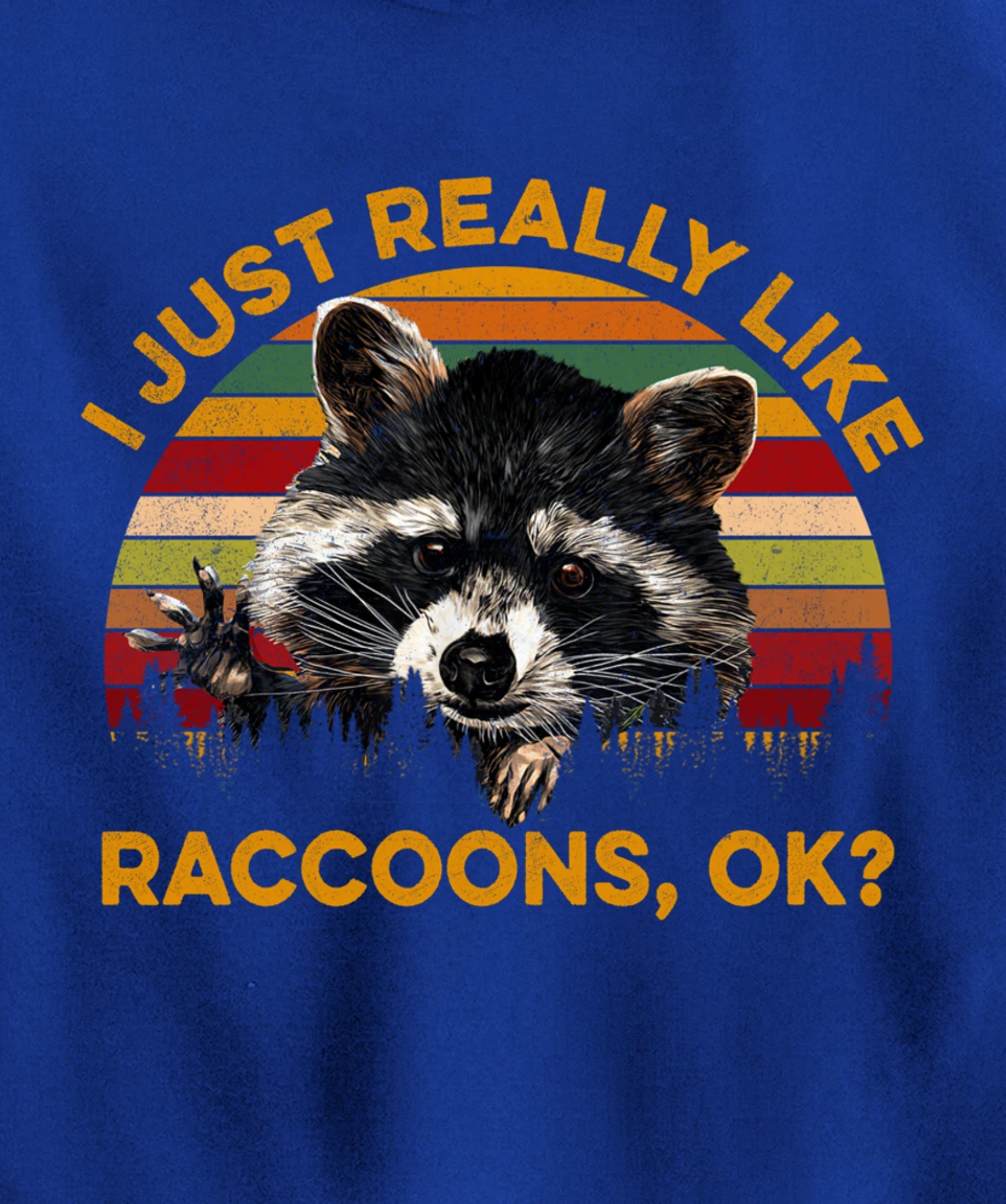 I Just Really Like Raccoons, OK? Lover Gift Raccoon Love Pullover Hoodie