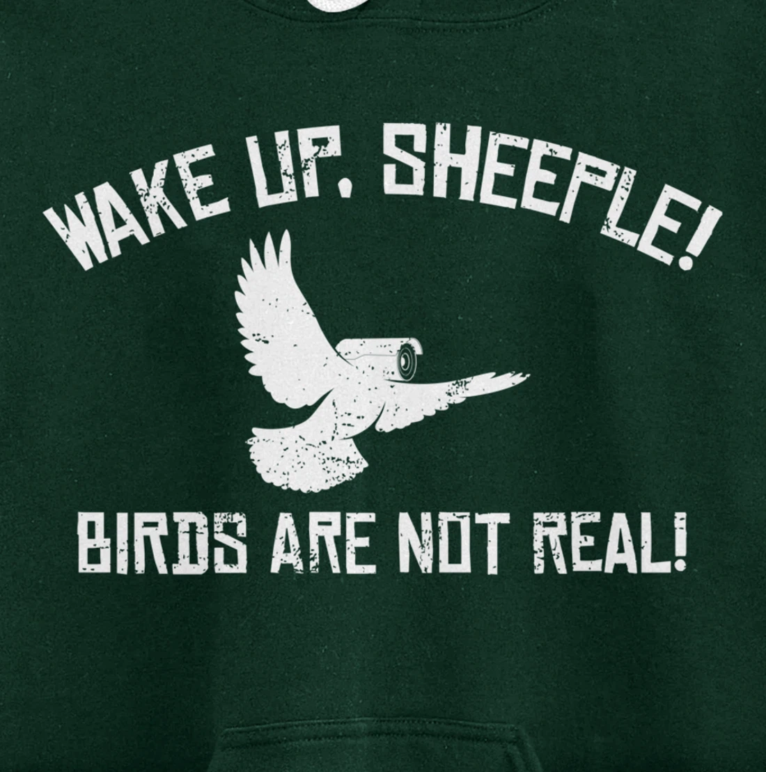 Wake Up Sheeple Birds Aren’t Real Conspiracy Theory Pullover Hoodie