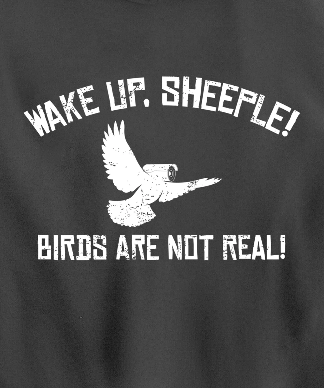 Wake Up Sheeple Birds Aren’t Real Conspiracy Theory Pullover Hoodie