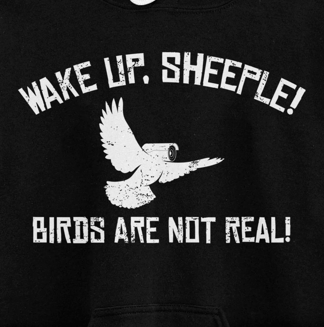 Wake Up Sheeple Birds Aren’t Real Conspiracy Theory Pullover Hoodie