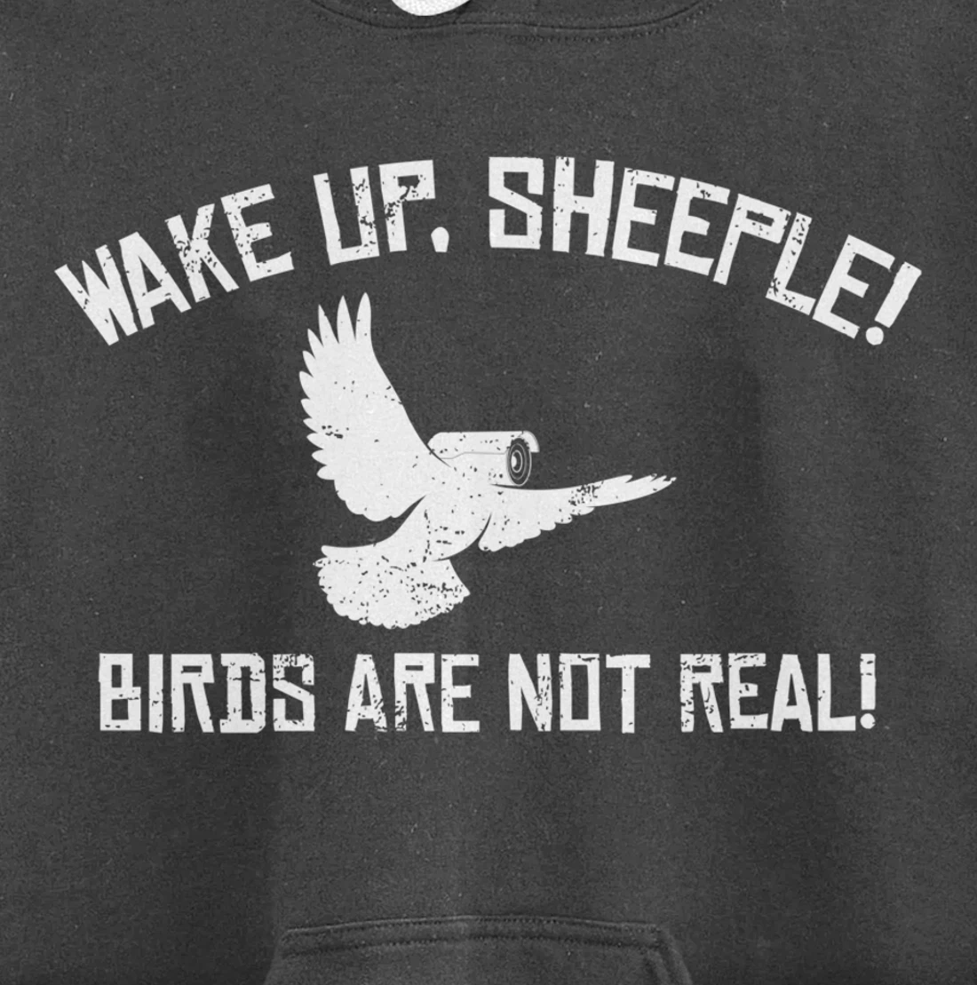 Wake Up Sheeple Birds Aren’t Real Conspiracy Theory Pullover Hoodie