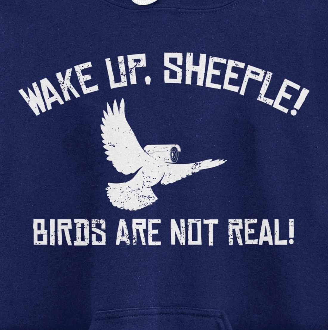 Wake Up Sheeple Birds Aren’t Real Conspiracy Theory Pullover Hoodie