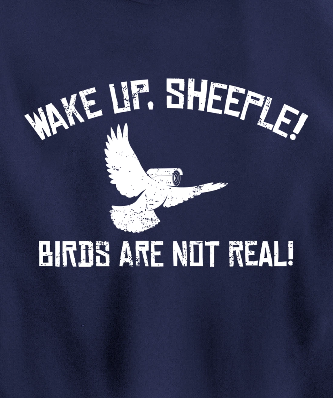 Wake Up Sheeple Birds Aren’t Real Conspiracy Theory Pullover Hoodie