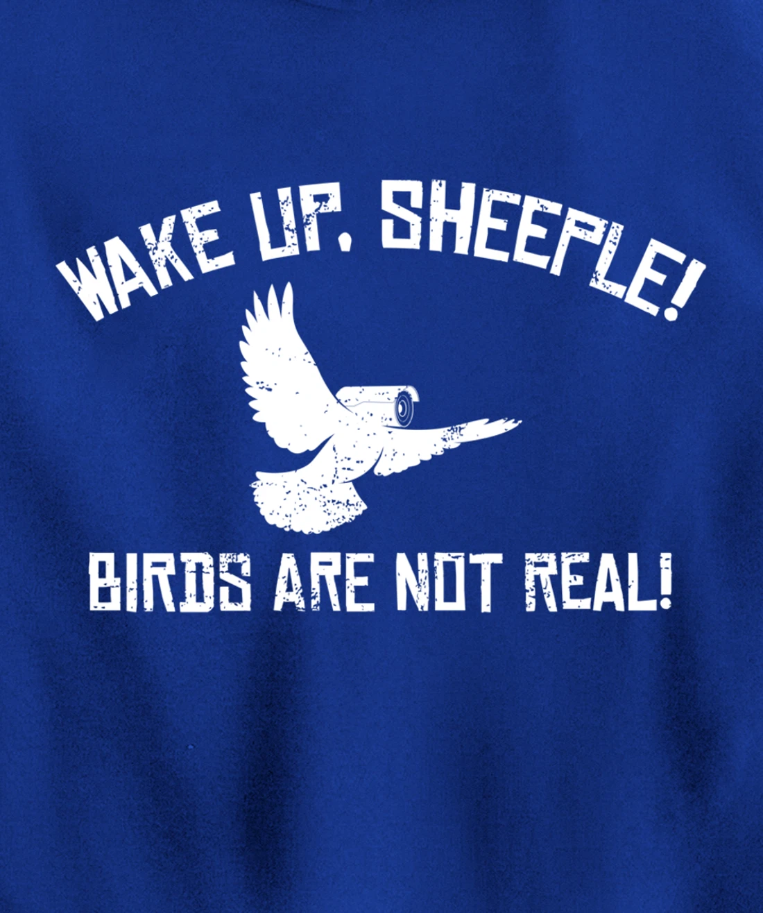 Wake Up Sheeple Birds Aren’t Real Conspiracy Theory Pullover Hoodie