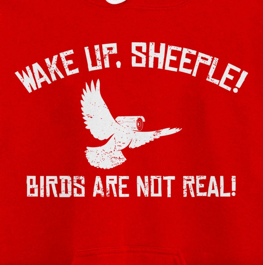 Wake Up Sheeple Birds Aren’t Real Conspiracy Theory Pullover Hoodie