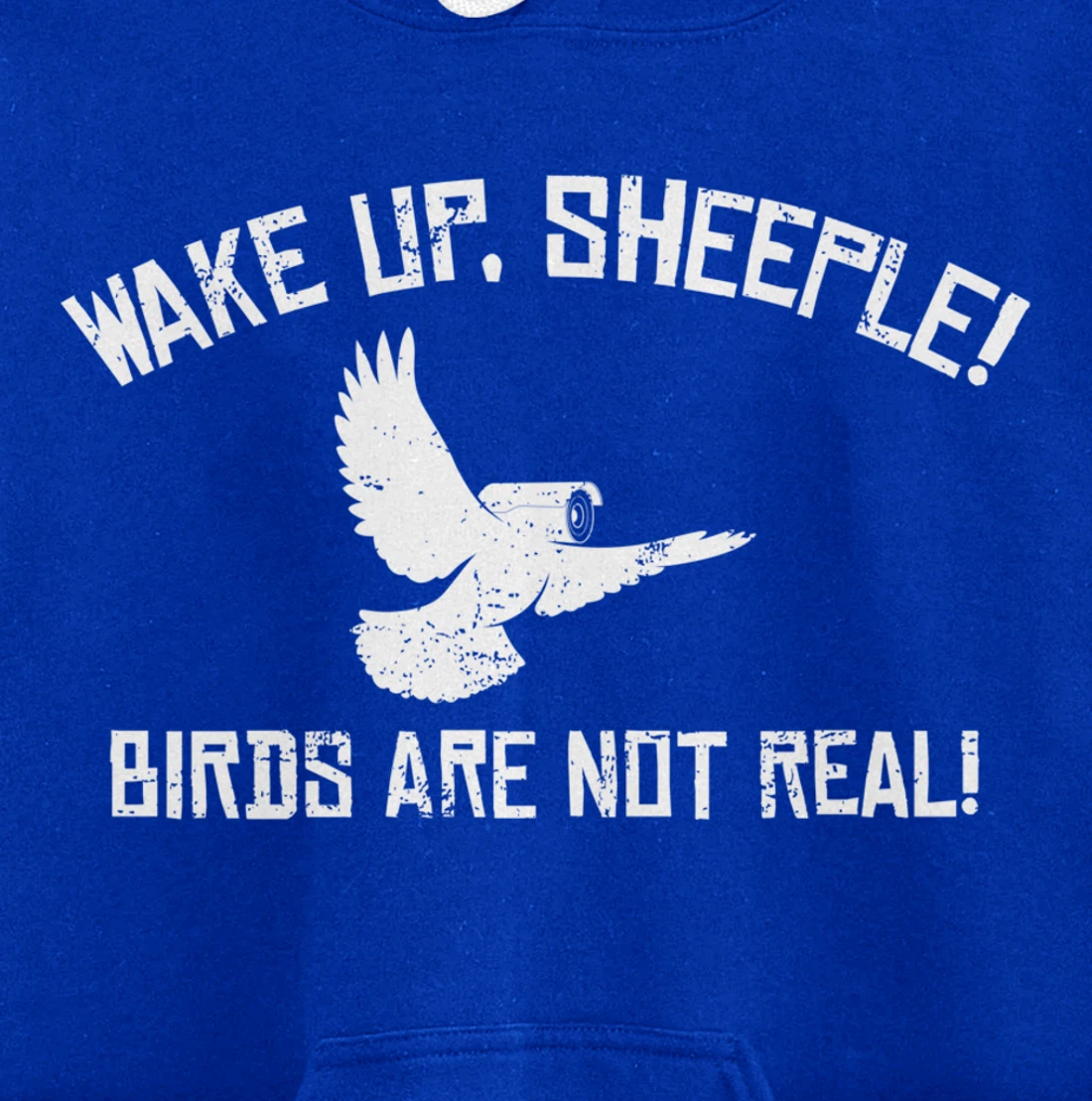 Wake Up Sheeple Birds Aren’t Real Conspiracy Theory Pullover Hoodie