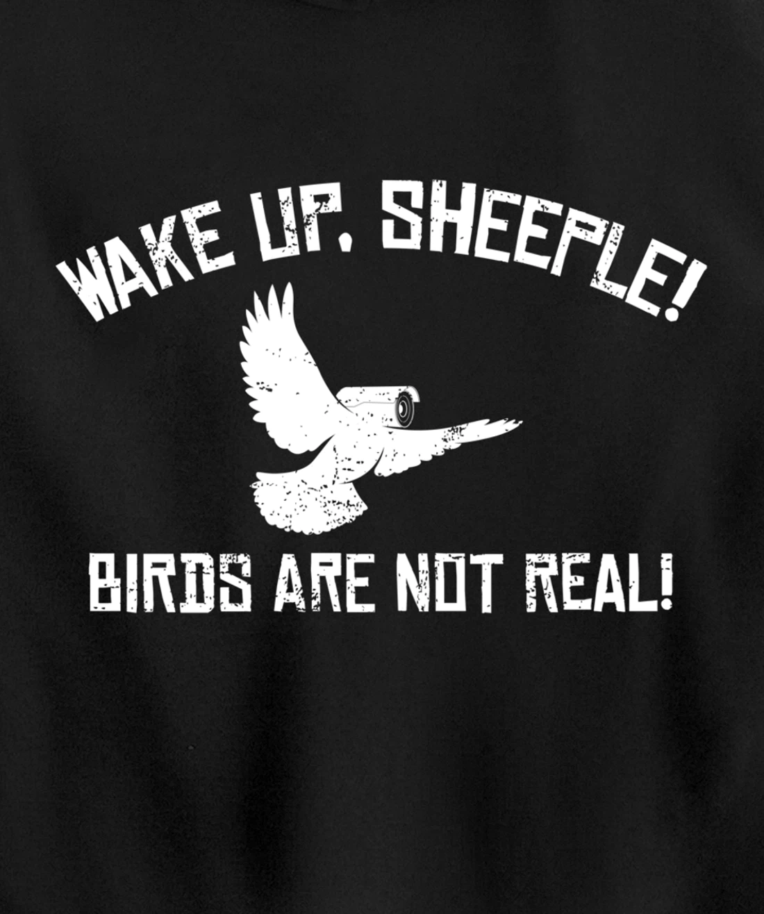 Wake Up Sheeple Birds Aren’t Real Conspiracy Theory Pullover Hoodie