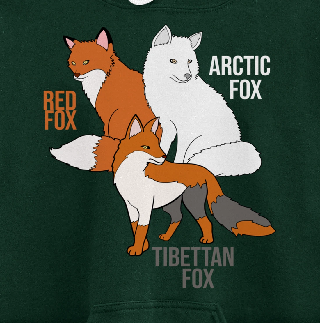 Foxes Of The World Funny Fox Animals Educational Pullover Hoodie