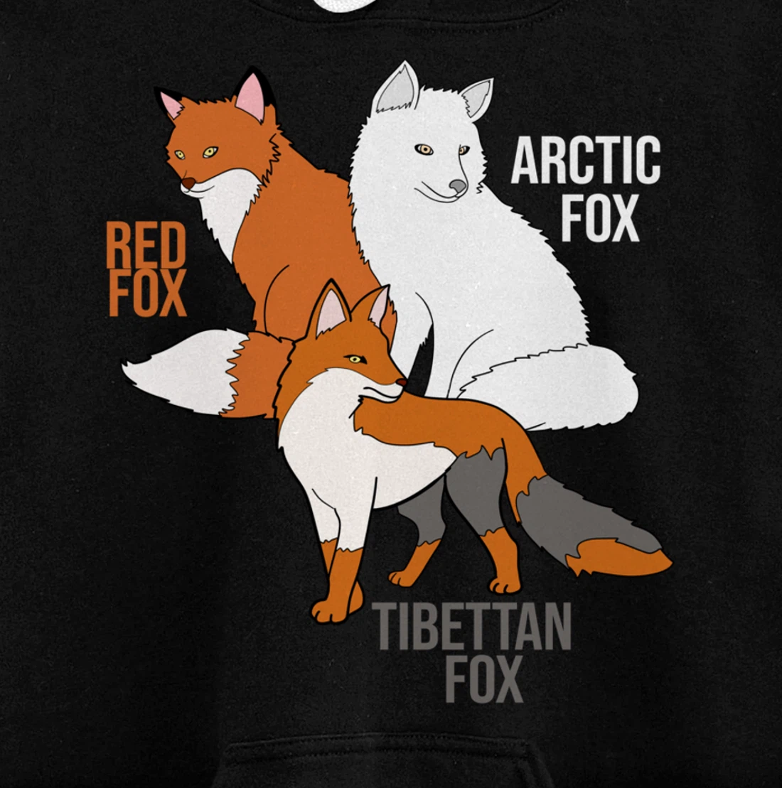 Foxes Of The World Funny Fox Animals Educational Pullover Hoodie