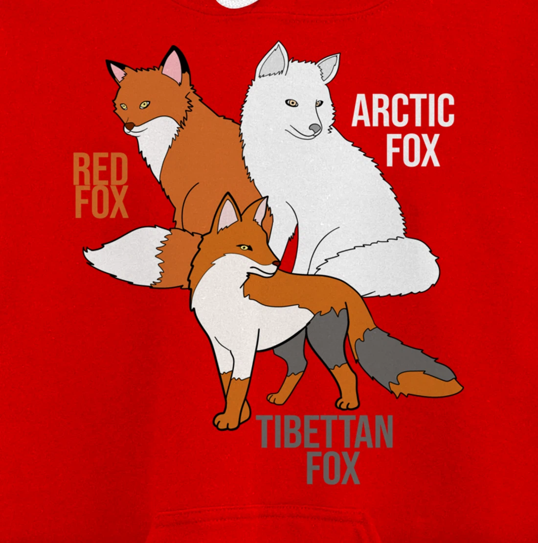 Foxes Of The World Funny Fox Animals Educational Pullover Hoodie